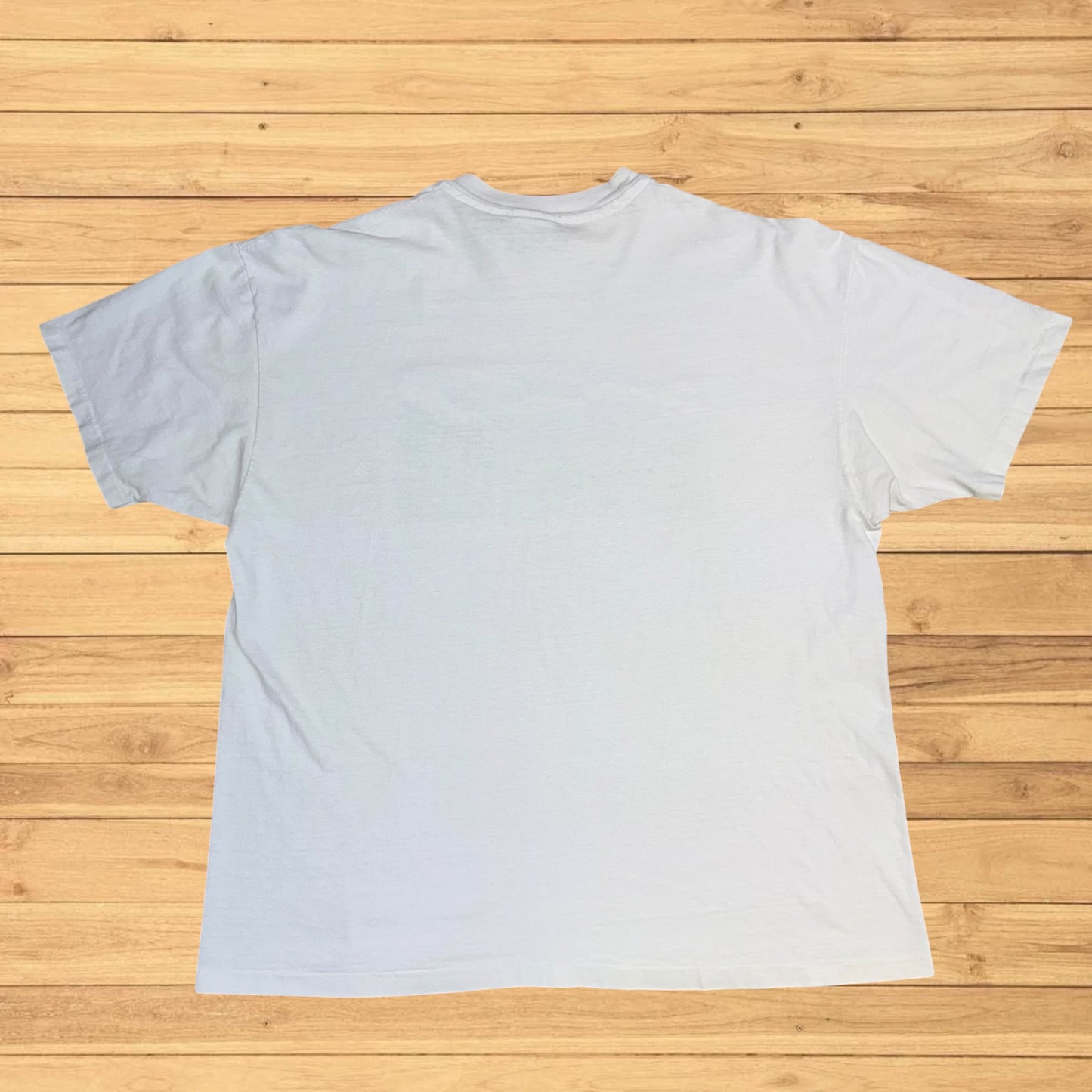 vintage ll bean t shirt landscape (L)