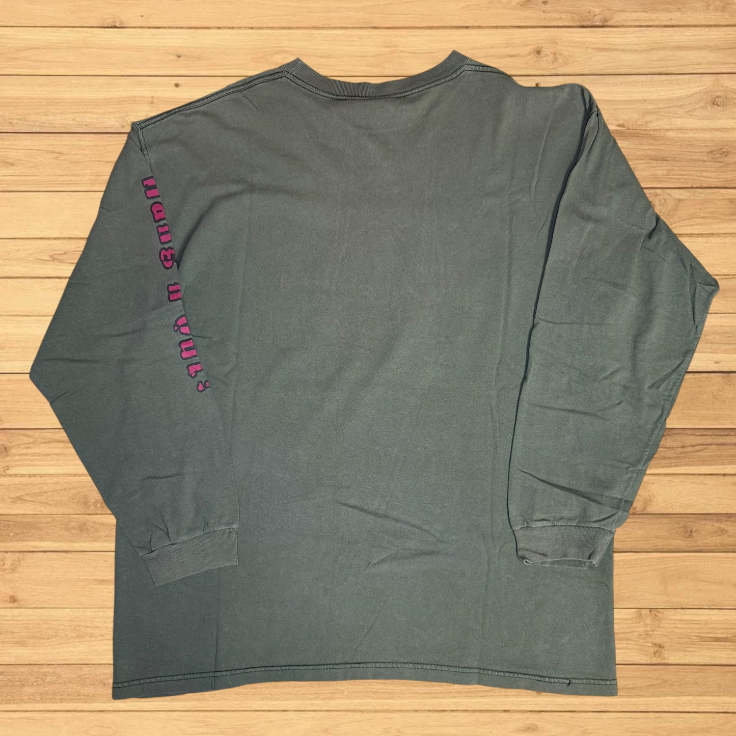 vintage jansport hiking t shirt (xl)