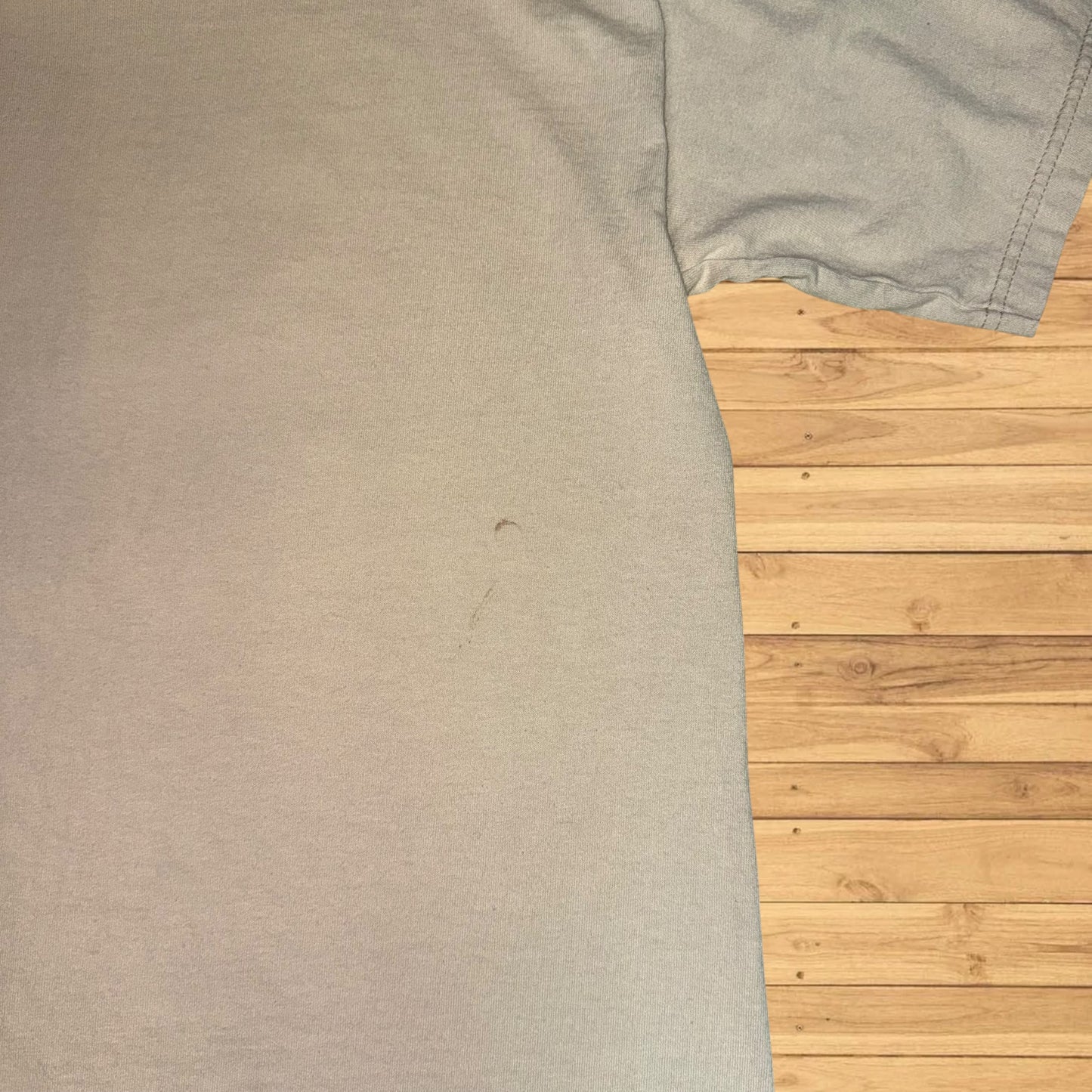 vintage hiking harborside graphics t shirt stained (M)