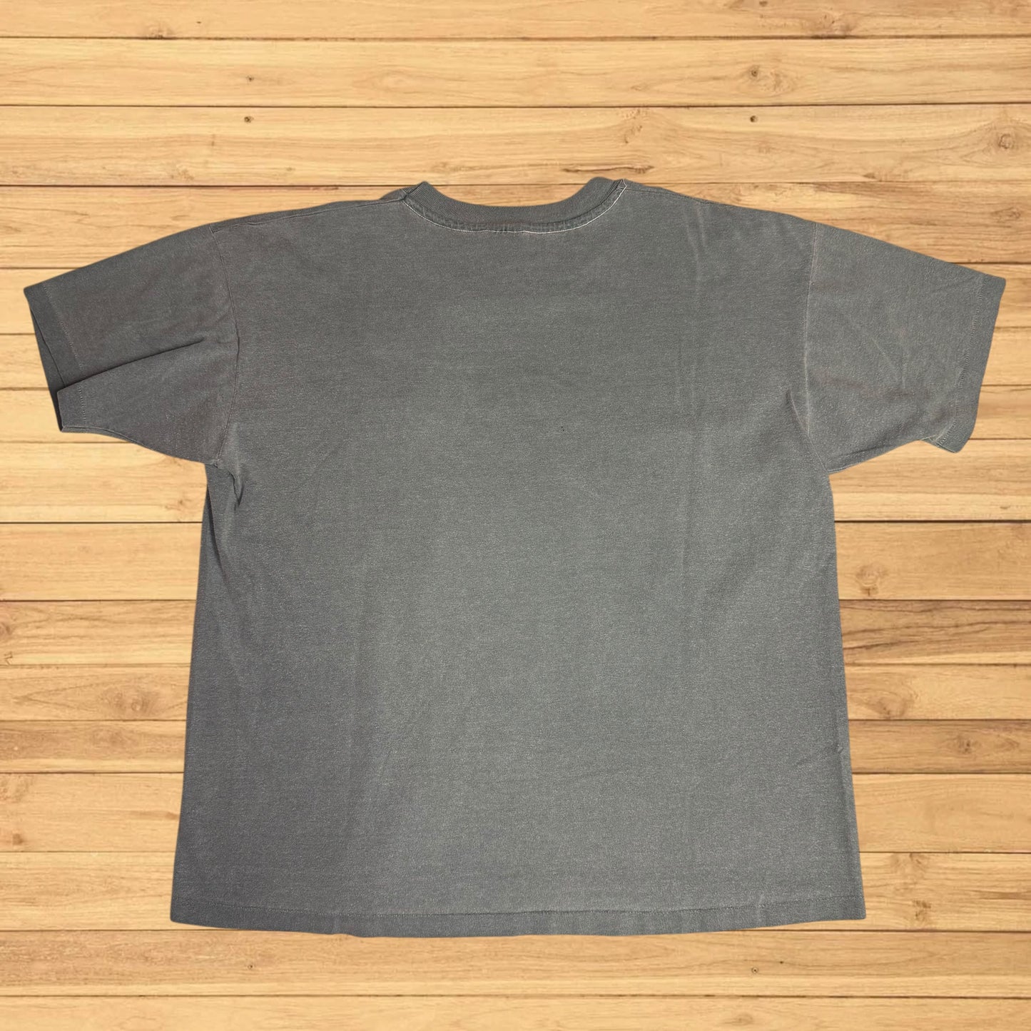 vintage appalachian trail t shirt wesser state park (xl)