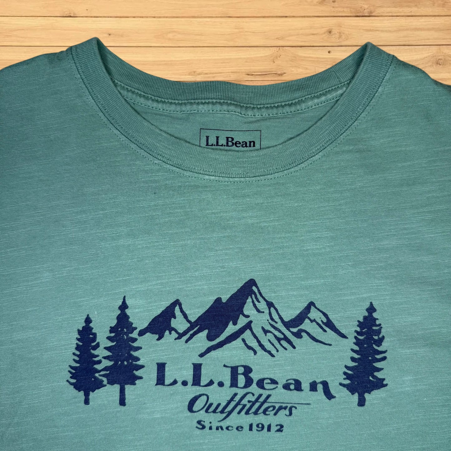ll bean t shirt mountain