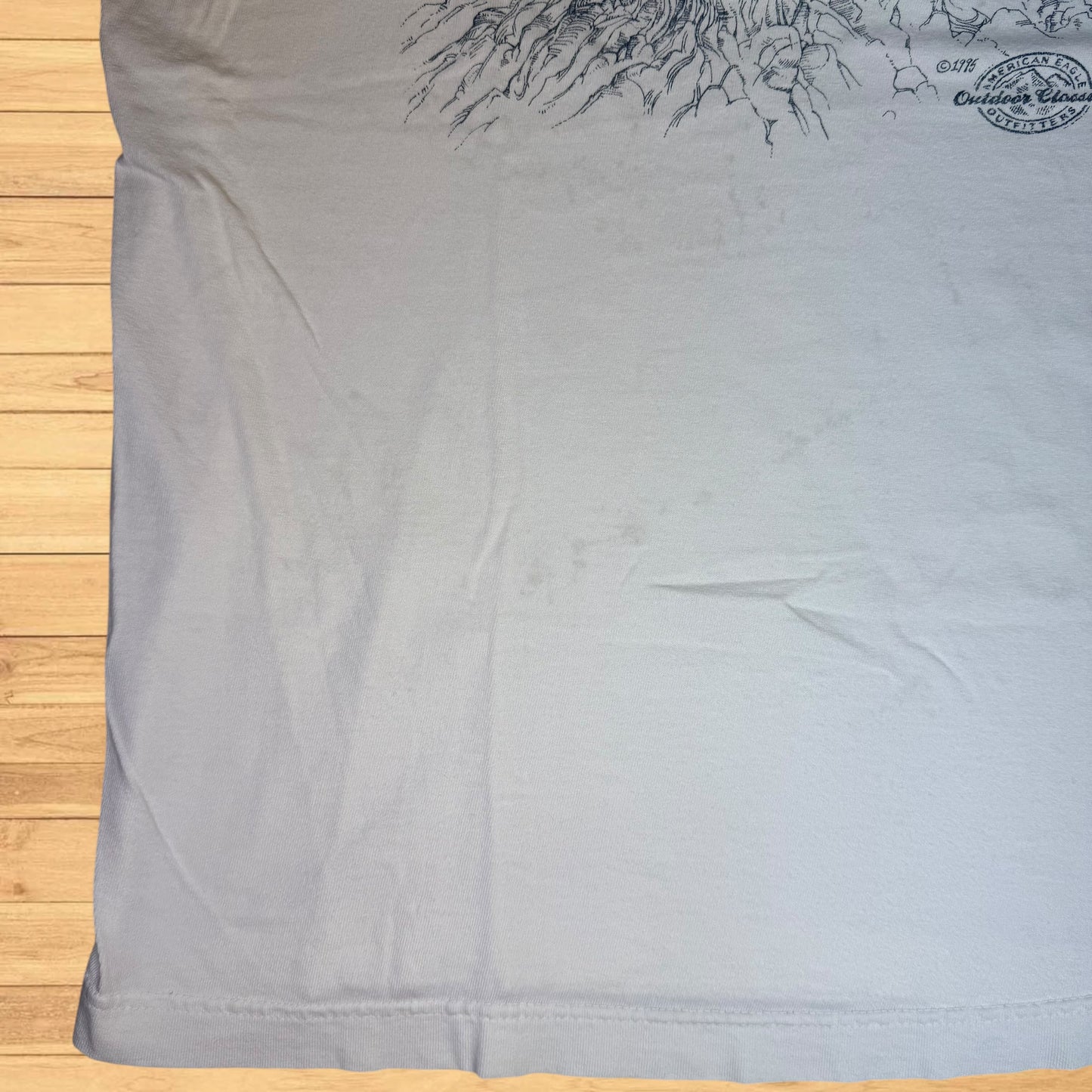 vintage american eagle nature t shirt (L)