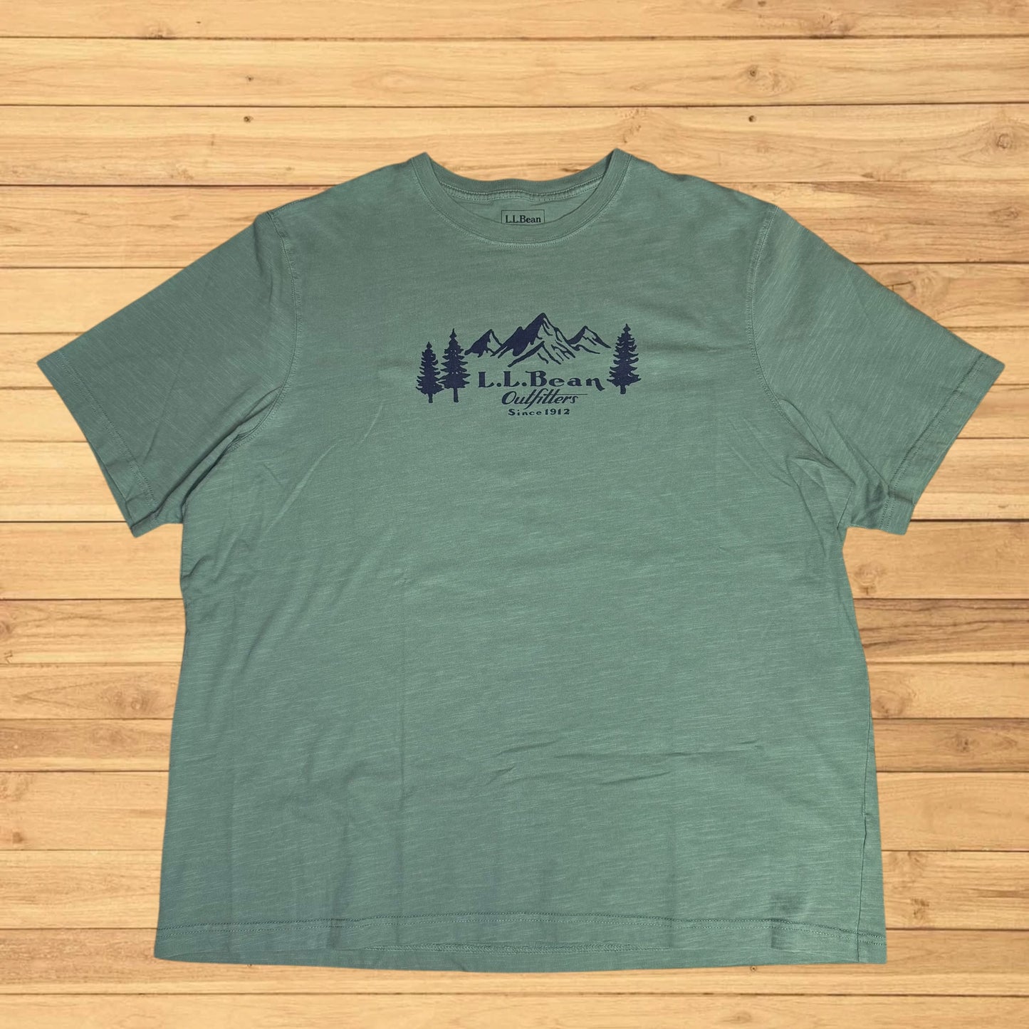ll bean t shirt mountain