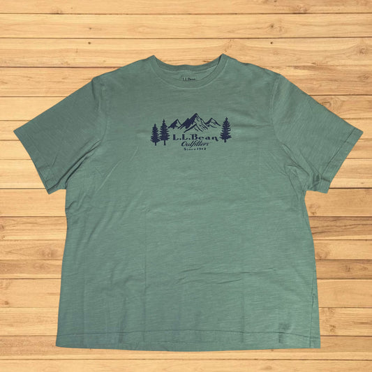ll bean t shirt mountain