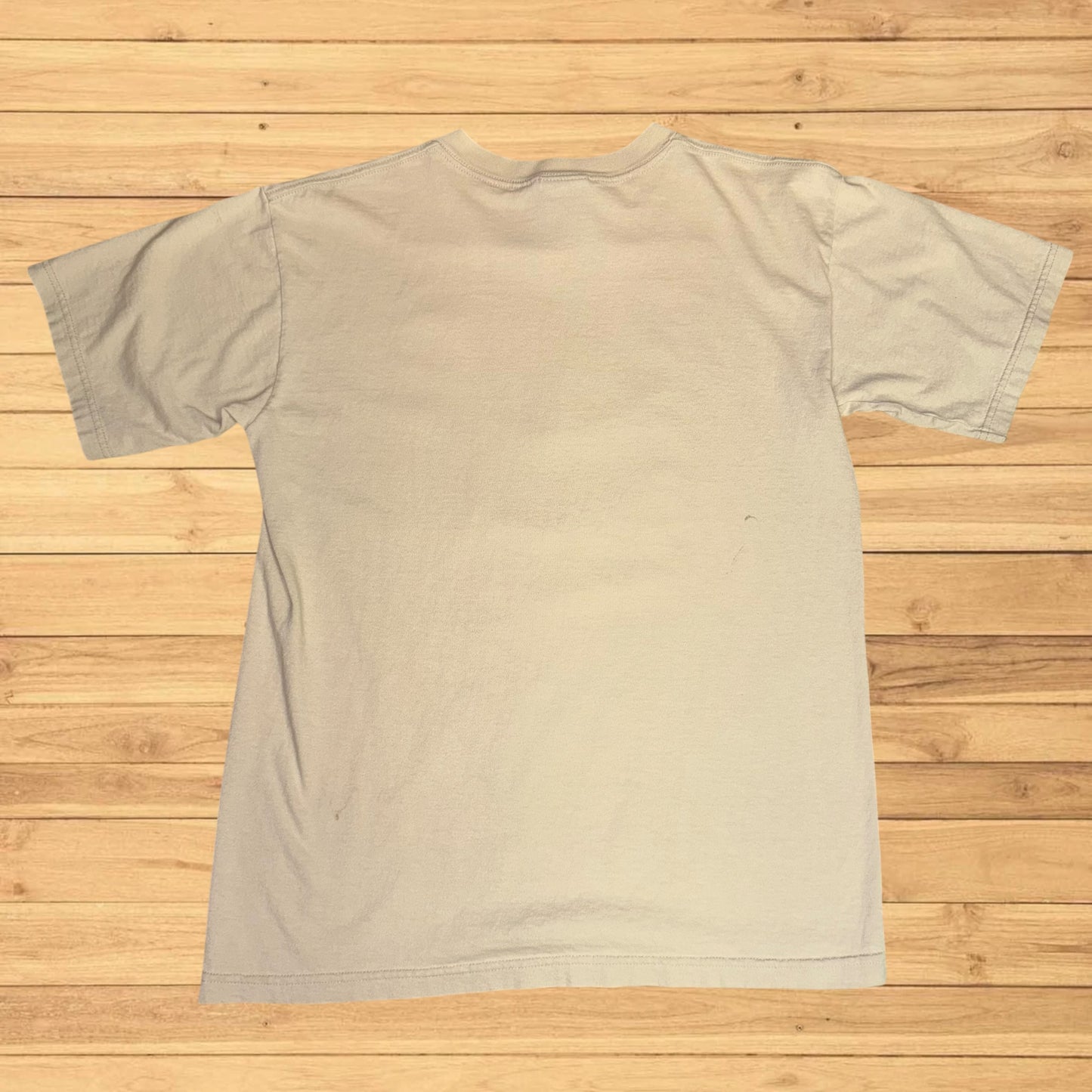 vintage hiking harborside graphics t shirt stained (M)