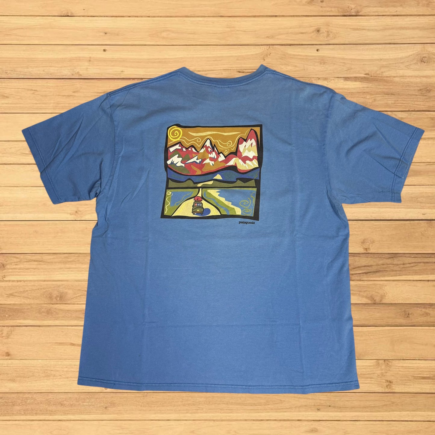 vintage patagonia t shirt landscape (large)