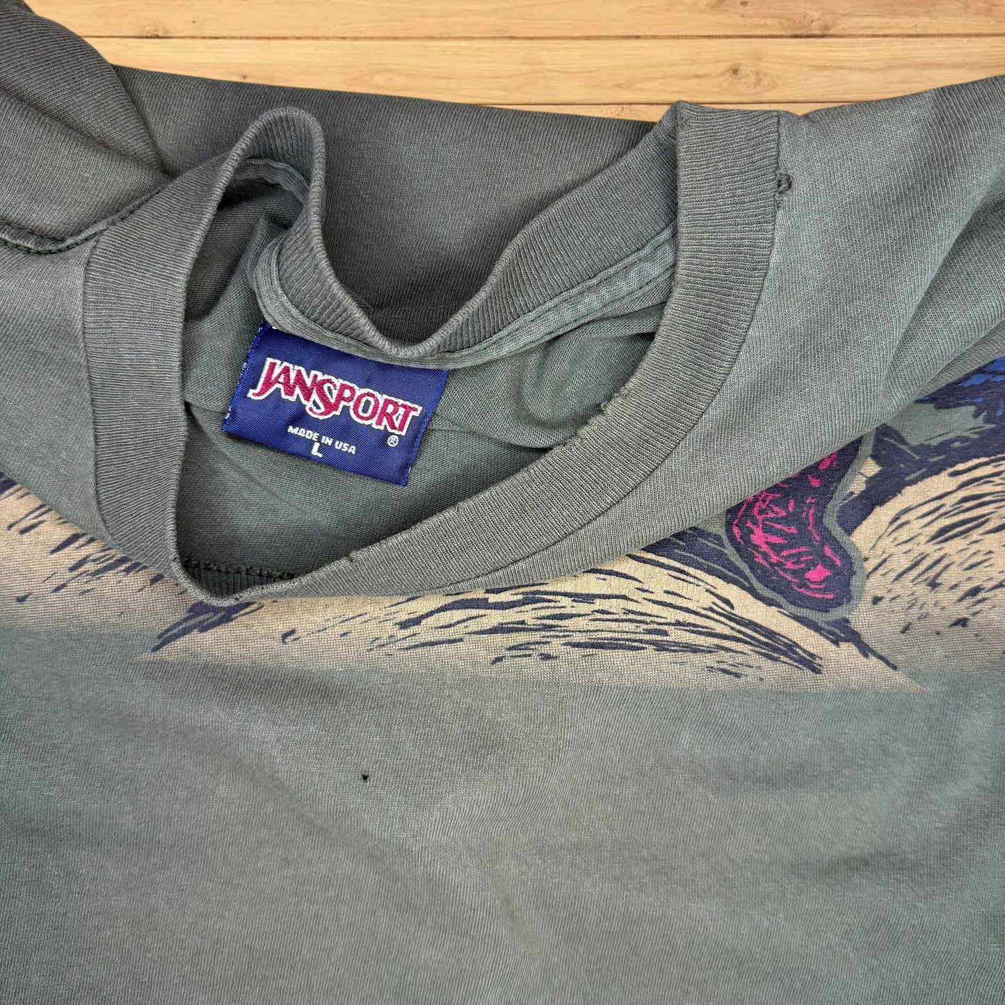 vintage jansport hiking t shirt (xl)