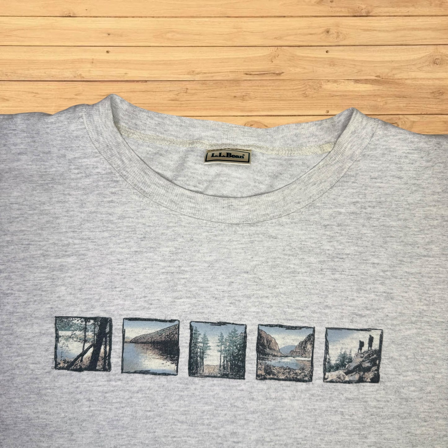 vintage ll bean t shirt hiking wilderness (xl)