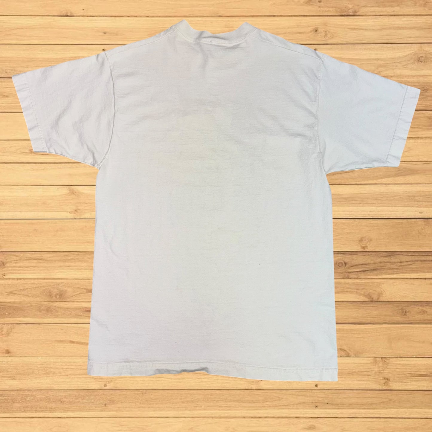 vintage fishing guide door county t shirt (M)