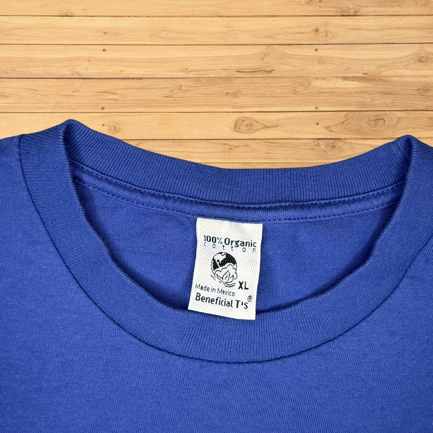 vintage sierra club t shirt