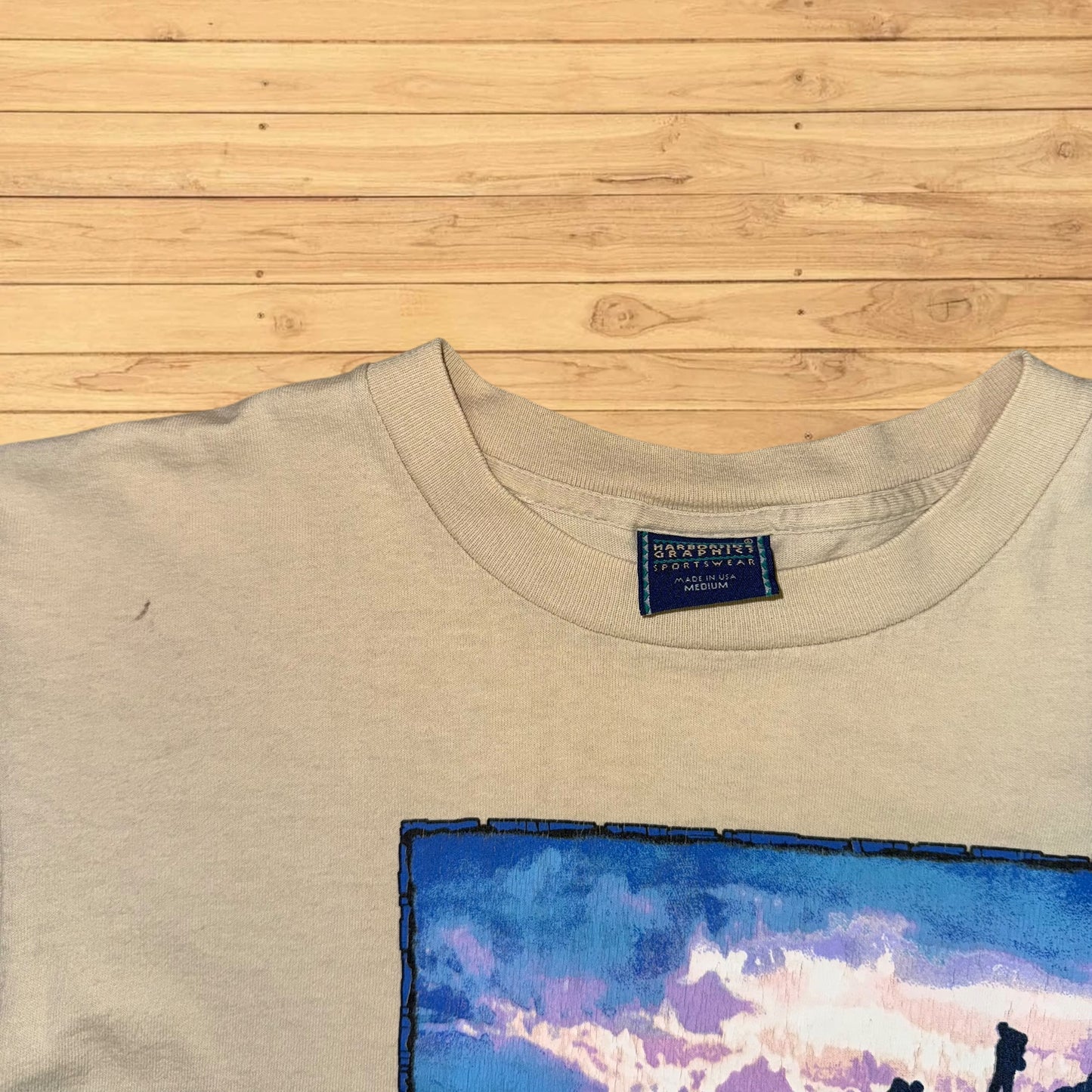 vintage hiking harborside graphics t shirt stained (M)