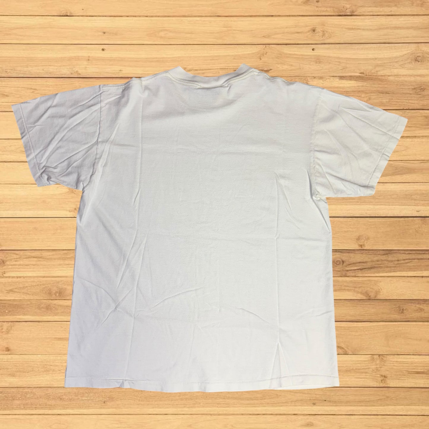 vintage american eagle nature t shirt (M/L)