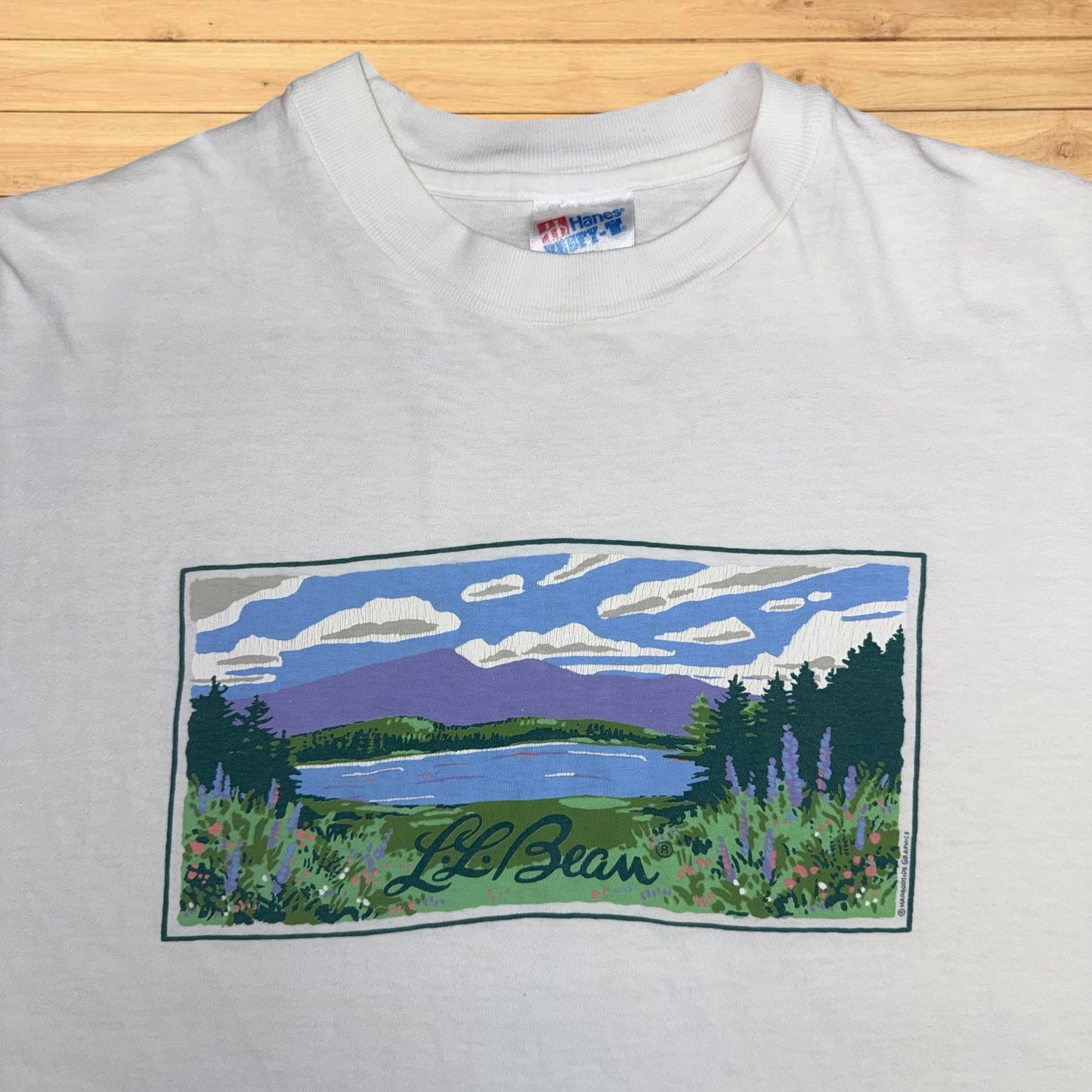 vintage ll bean t shirt landscape (L)