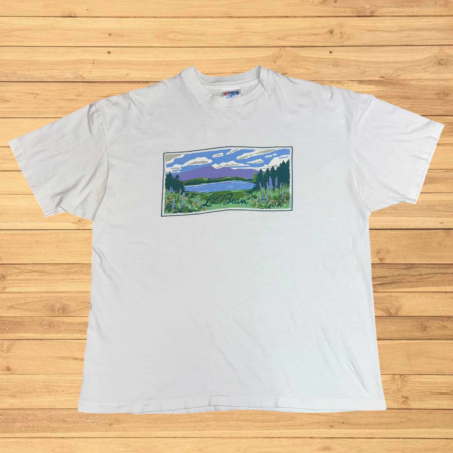 vintage ll bean t shirt landscape (L)