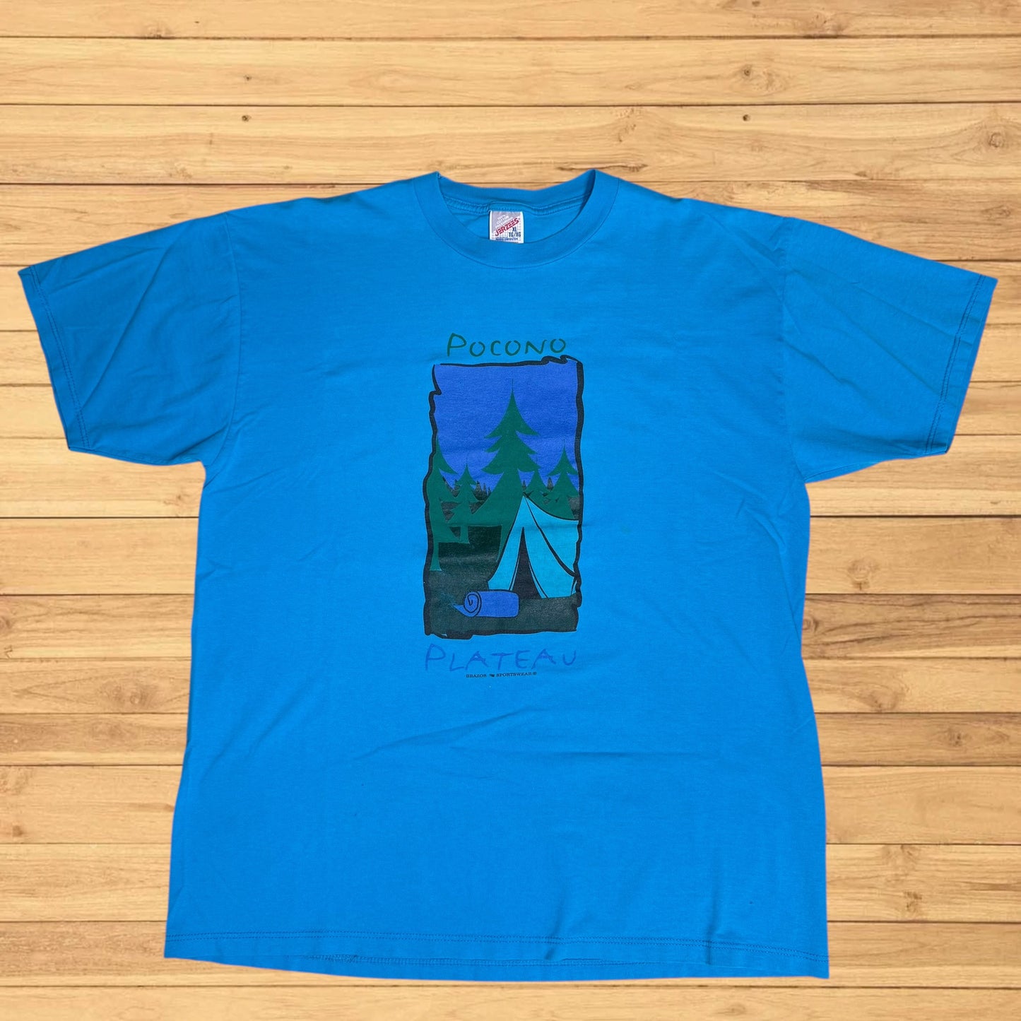 vintage pocono plateau t shirt