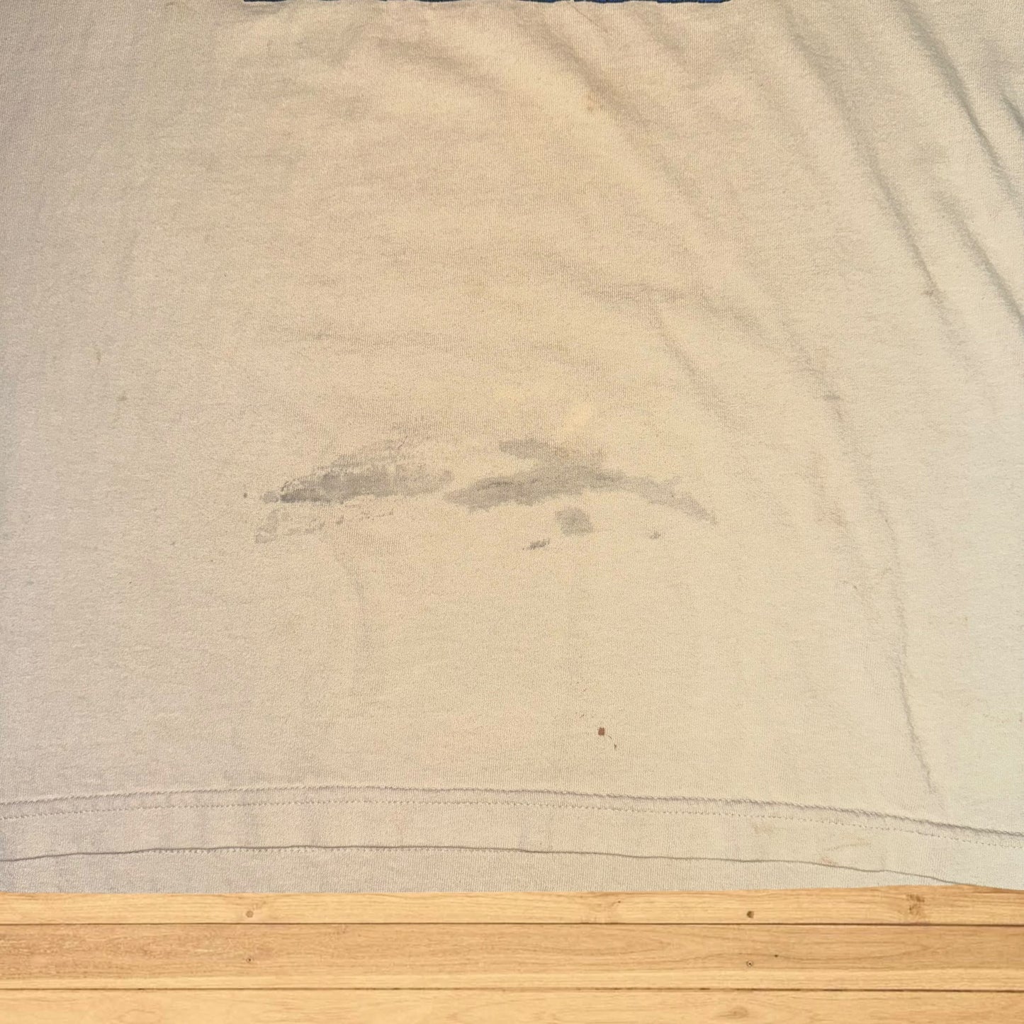 vintage hiking harborside graphics t shirt stained (M)